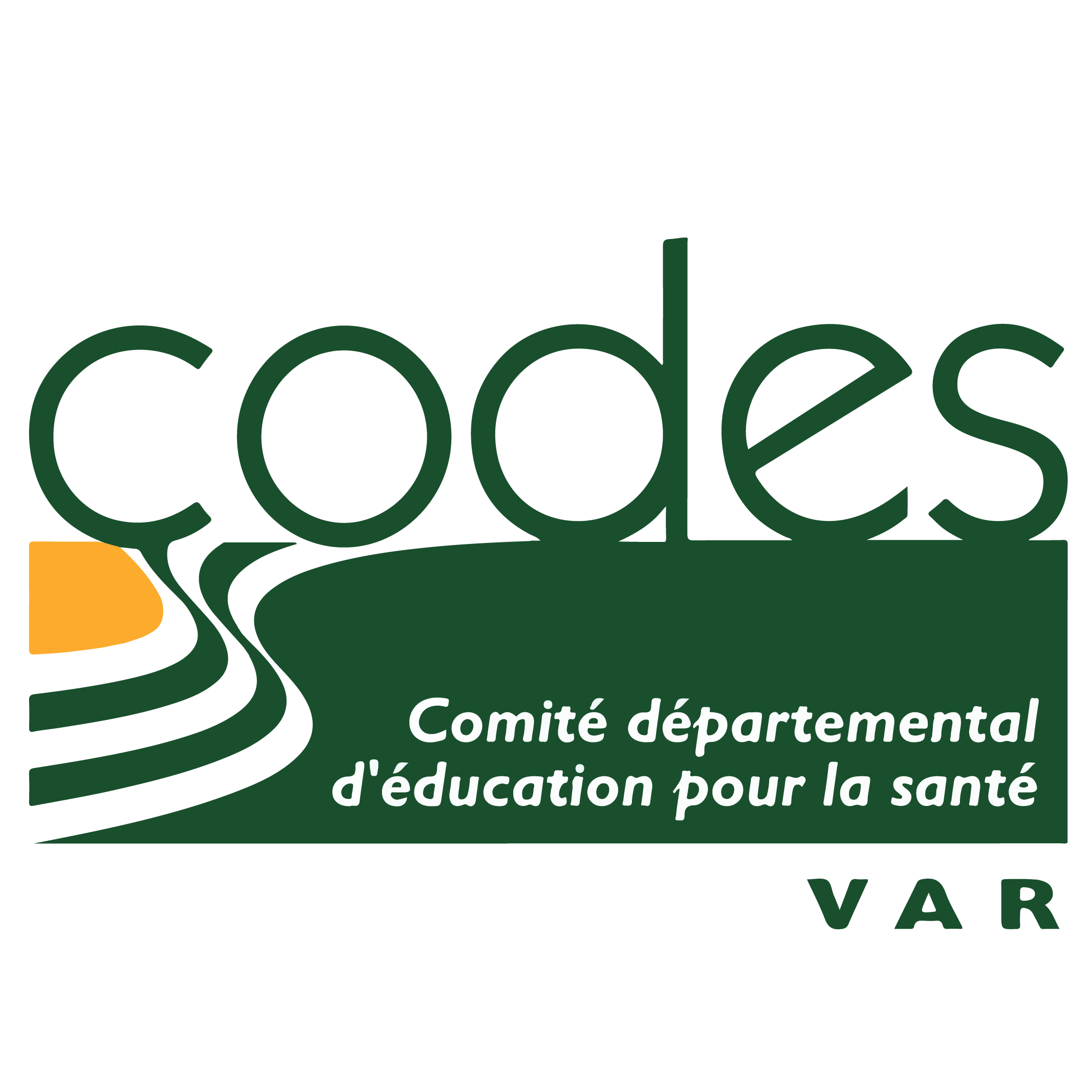 codes logo